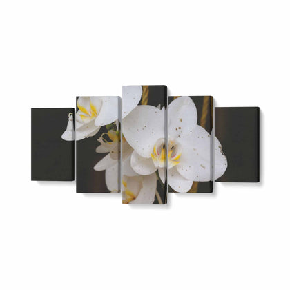 Tablou MultiCanvas 5 piese, Orhidee Albă - canvasgift.ro