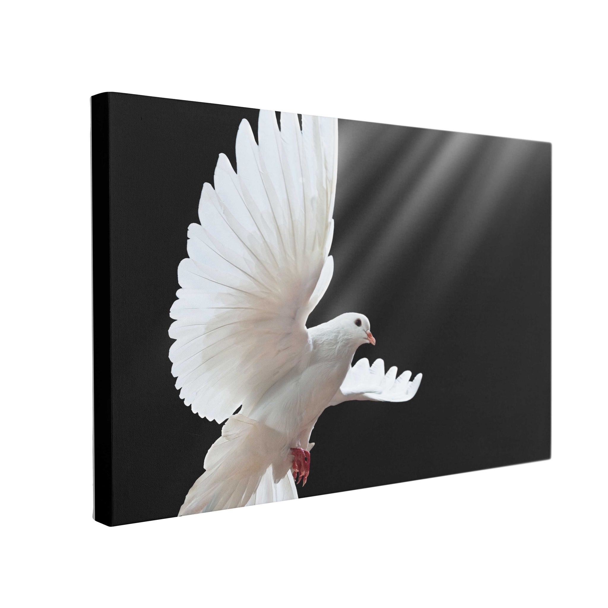 Tablou Canvas Dove in Flight