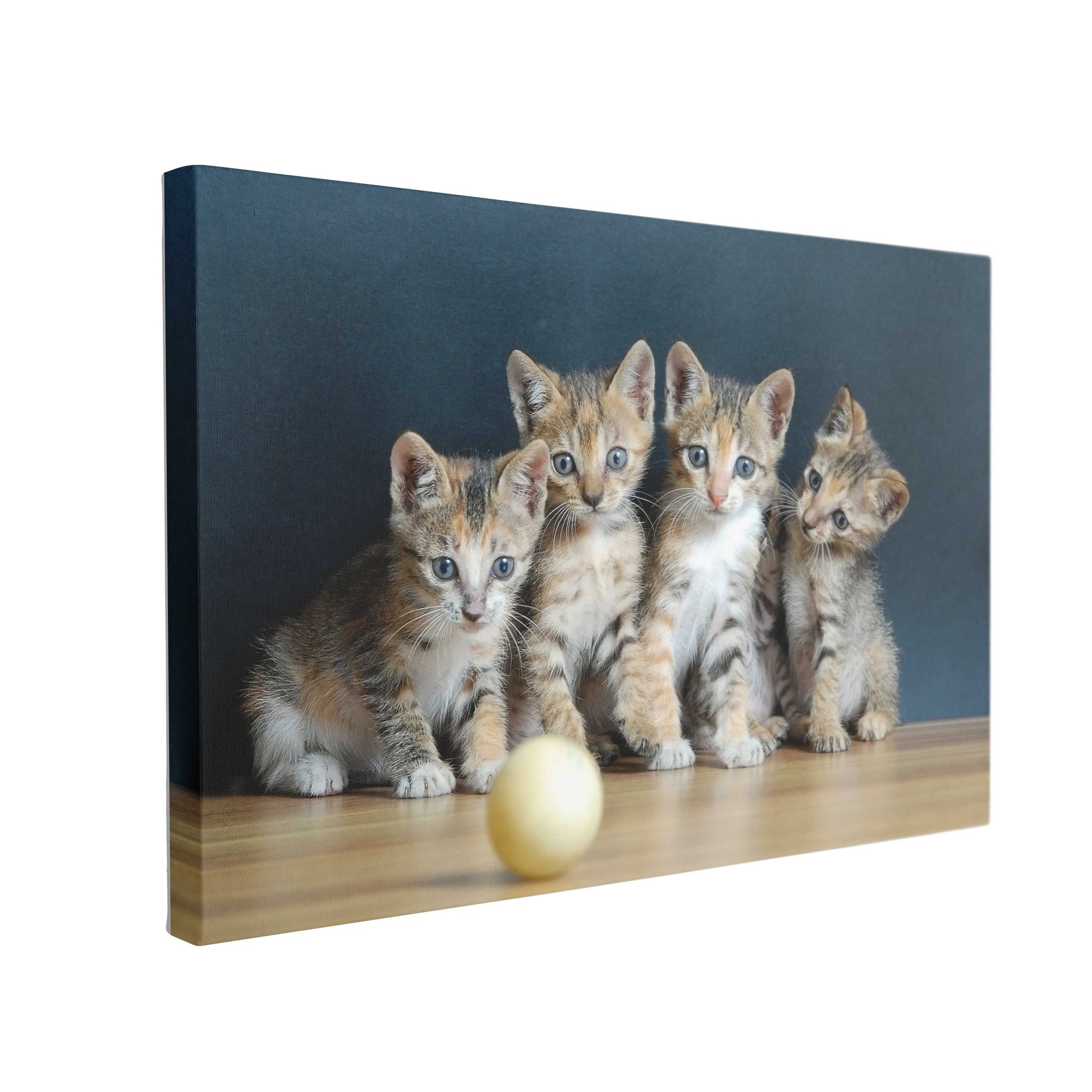 Tablou Canvas Four Cute Cats