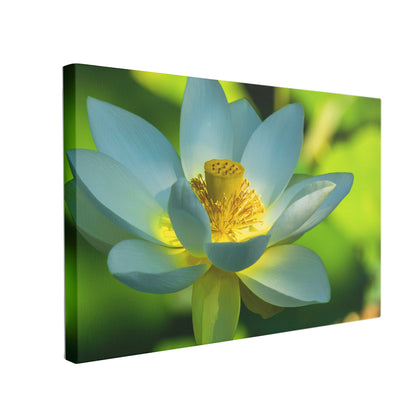Tablou Canvas Lotus Flower