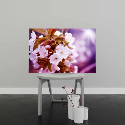 Tablou Canvas Cherry Blossoms