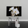Tablou Canvas Orhidee Albă