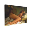 Tablou Canvas Nude Painted